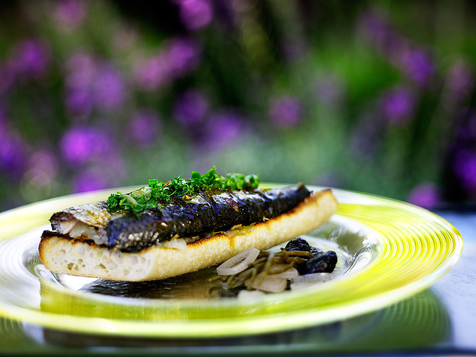 Open sardine sandwich- Grilled sardines- Best food photography