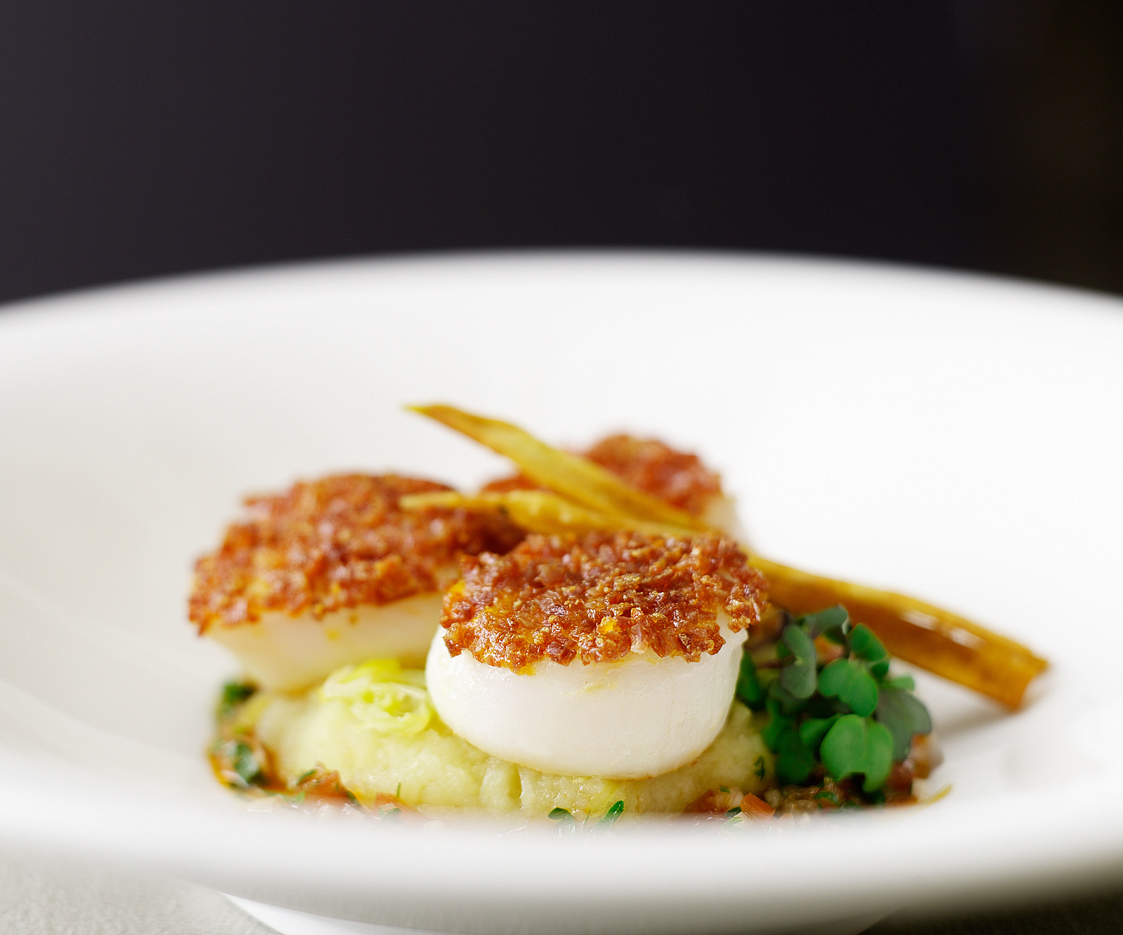 Day boat scallops- Scallops with minced bacon- Best food photography